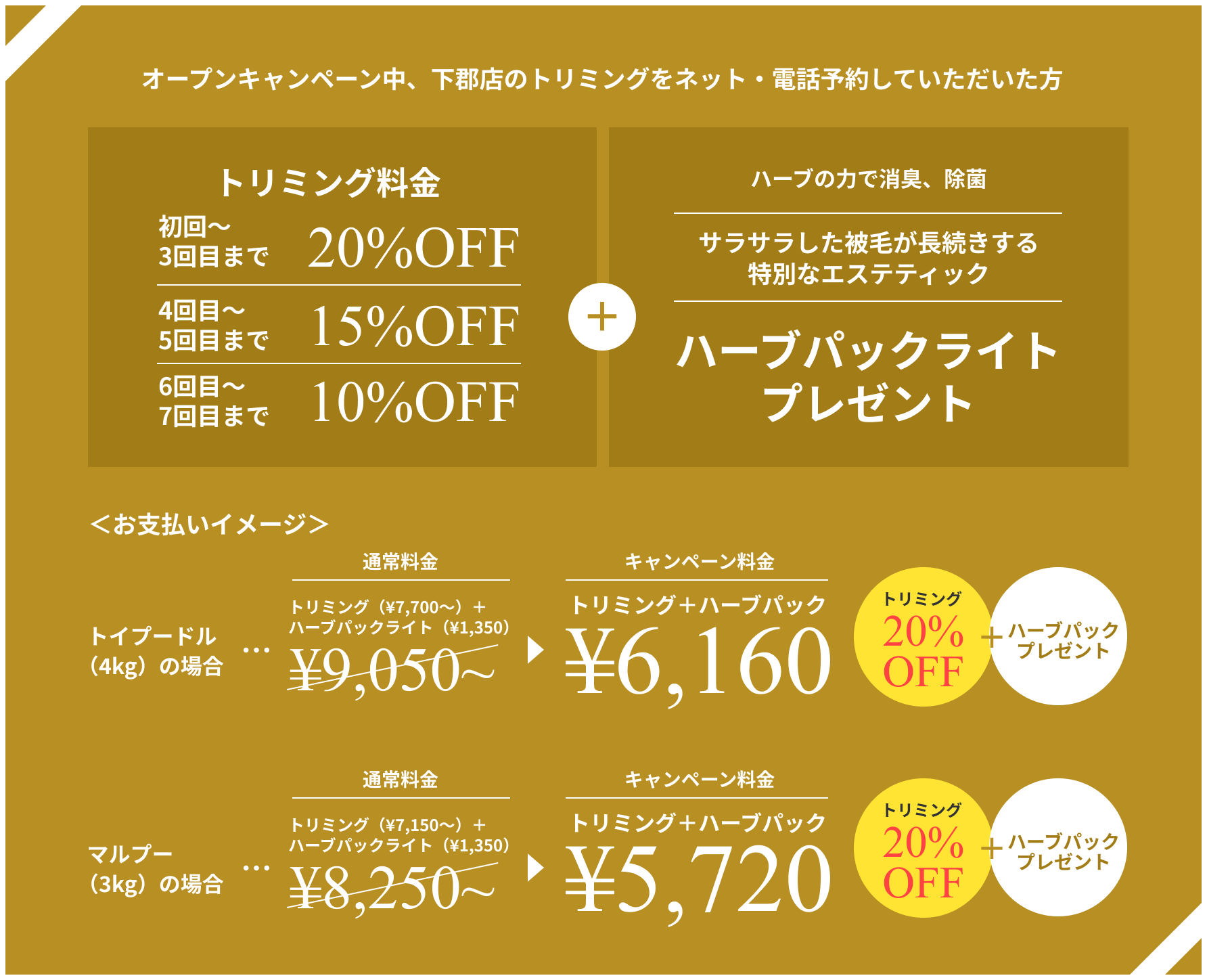 オープンキャンペーン中、下郡店のトリミングをネット・電話予約していただいた方 トリミング料金割引+ハーブパックライトプレゼント