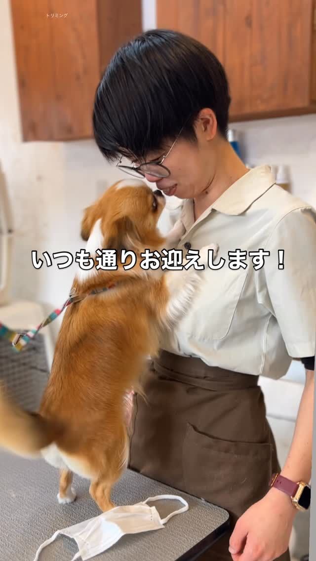 トリミングに出したいけど、どこがいいのか訳わからん！という方におすすめ！
【当店は専属担当制のドッグサロンです】
・いつものトリマーがあなたのわんちゃんをお迎えします。
・マンツーマン施術でわんちゃんも安心
・専属だからお話しがすっごくしやすい
・親身になった丁寧なカウンセリングでしっかりと向き合い、あなたの大切なわんちゃんを綺麗にさせていただきます。

【トリマーは美容師＋保育士】
飼い主様一人一人、わんちゃん一頭一頭に寄り添い”わんちゃんとの生活のお悩みを解決する”為に、専門知識を持ったトリマーがマンツーマンで丁寧に施術をすることを大切にしております。わんちゃんの身体に合わせた施術をする事はもちろん、あなた専属のアドバイザ一・わんちゃんの良き理解者として充実したドッグライフへのご提案をいたします🐾

【どんなシャンプー使ってるの？】
わんちゃんの皮膚・被毛の事を考えた、
独自の優しい指圧、除菌、消臭、栄養補給、保湿を徹底！トリミングを重ねる度にわんちゃんの皮膚・被毛が変わります！

わんちゃんの事ご相談、ご予約は
🌟各店舗へお電話
🌟各店LINE、インスタDMからでも🉑

佐伯店☎︎0972-23-1158
大分下郡店☎︎097-578-9288

#トリミングハウスギルモア#trimminghouse_gilmore#ギルモア#gilmore#トリミング#トリマー#専属担当制#トリミングサロン#ドッグサロン#大分県#大分市#佐伯市#下郡