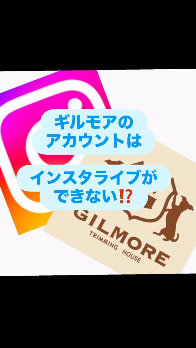 皆さま
いつもありがとうございます🙂‍↕️

飼い主さまからいただいくお悩みをもとに、時々インスタライブをさせていただいていたのですが、
それが出来なくなってしまいました💦
フォロアーさん1000名以上のアカウントじゃないと、インスタライブが出来ない、というカタチになったようです😅

ライブだからこそ細かいお話しが出来たり、
トリミングのお帰りの時間では足りなかったり、
わんちゃんの事でお伝えしたいことはたくさんあります✨

現在は800名ほどの方々からフォローしていただいております🙇‍♂️
あと200名ほどの方々からフォローしていただけるよう、
またインスタライブが出来るように、
普段のお仕事にもしっかり向き合いながら
頑張っていきます💪🏻

よろしくお願いします✨

#trimminghouse_gilmore#トリミングハウスギルモア#gilmore#ギルモア#佐伯市#大分市#下郡#インスタライブ#happylifewithdog#フォロアーさんいつもありがとう
