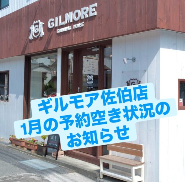 ギルモア佐伯店からのお知らせです(^^)

キャンセルなどにより、1月の予約枠に空きができました✂︎
普段なかなか予約を入れる事が出来ない方、
ギルモアを利用したいと思ってくださっている方、
これを機会に、是非お電話くださいませ🙂‍↕️

佐伯店☎︎0972-23-1158

下郡店もご予約受付中✂︎
下郡店☎︎097-578-9288

お待ちしております✨

#trimminghouse_gilmore#トリミングハウスギルモア#gilmore#ギルモア#佐伯