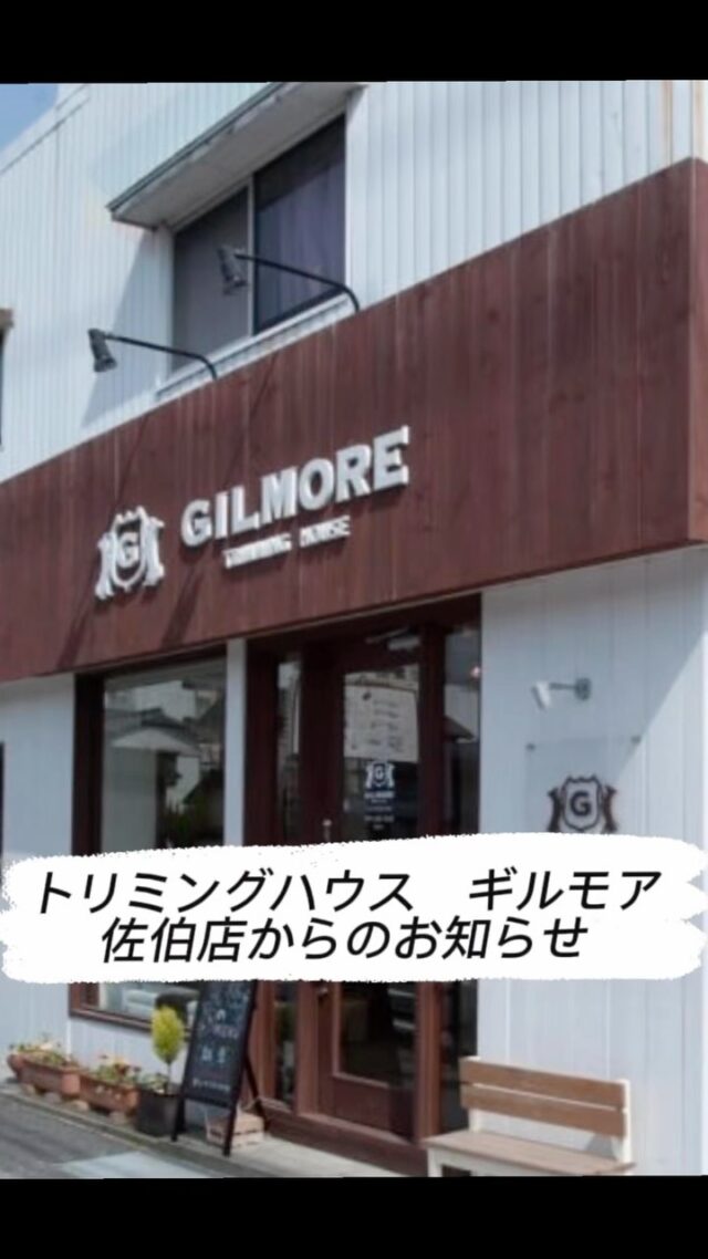 ギルモア佐伯店からのお知らせです（^^）
キャンセルなどにより、
予約枠に空きができました✂︎
・7/12（日）15:00
・7/13（月）13:30~
・7/14（火）9:00〜
・7/17(金)9:00〜
・7/19（日）16:00～
・7/26（日）14:30〜
普段なかなか予約を入れる事が出来ない
方、
ギルモアを利用したいと思ってくださっている方
、
これを機会に、是非お電話くださいませ🙂‍↕️

佐伯店☎︎0972-23-1158

下郡店もご予約受付中✂︎
下郡店☎︎097-578-9288

お待ちしております✨

#trimminghouse_gilmore#トリミングハウスギルモア#gilmore#ギルモア佐伯店